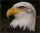 Profile picture for user orlik2010