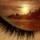 Profile picture for user kasia50