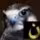 Profile picture for user Katarzyna