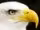 Profile picture for user Blogpress