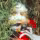 Profile picture for user Michał KK