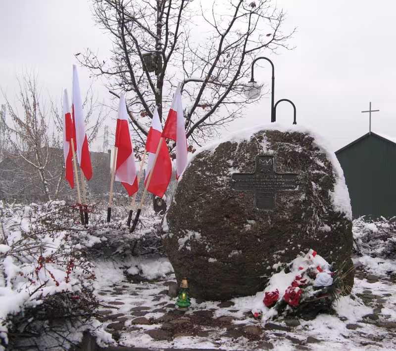 Olszynka 5